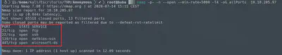 nmap
