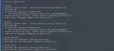 wpscan